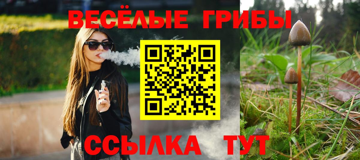 Псилоцибиновые грибы MAGIC MUSHROOMS Мыски