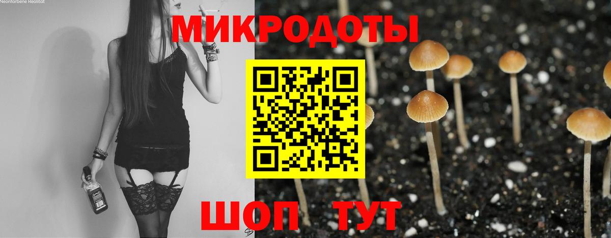 Галлюциногенные грибы Psilocybine cubensis  Вход с VPN  Мыски  Галлюциногенные грибы MAGIC MUSHROOMS 